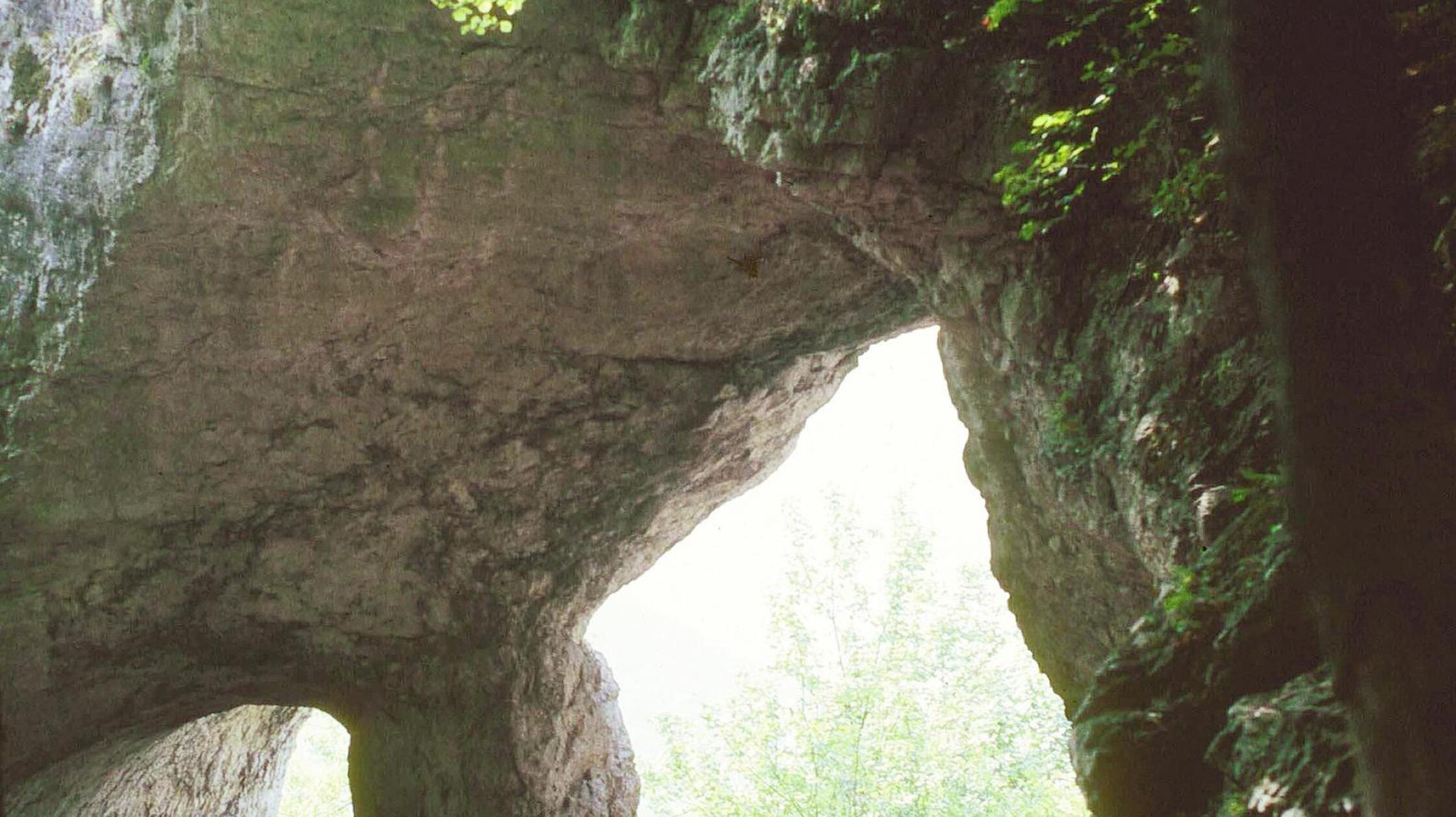 60 Kilometer - der Frankenalb-Panoramaweg:
Perfekt für drei Etappen oder eine Tagestour: Auf die Wanderer wartet etwa der felsige Jungfernsprung, der Hohle Fels mit seinen riesigen Hallenhöhlen unterhalb der einstigen keltischen Wehranlage Houbirg. Alle Infos zur Strecke und einzelnen Etappen gibt es unter dem angefügten Link rechts unten im Bild.