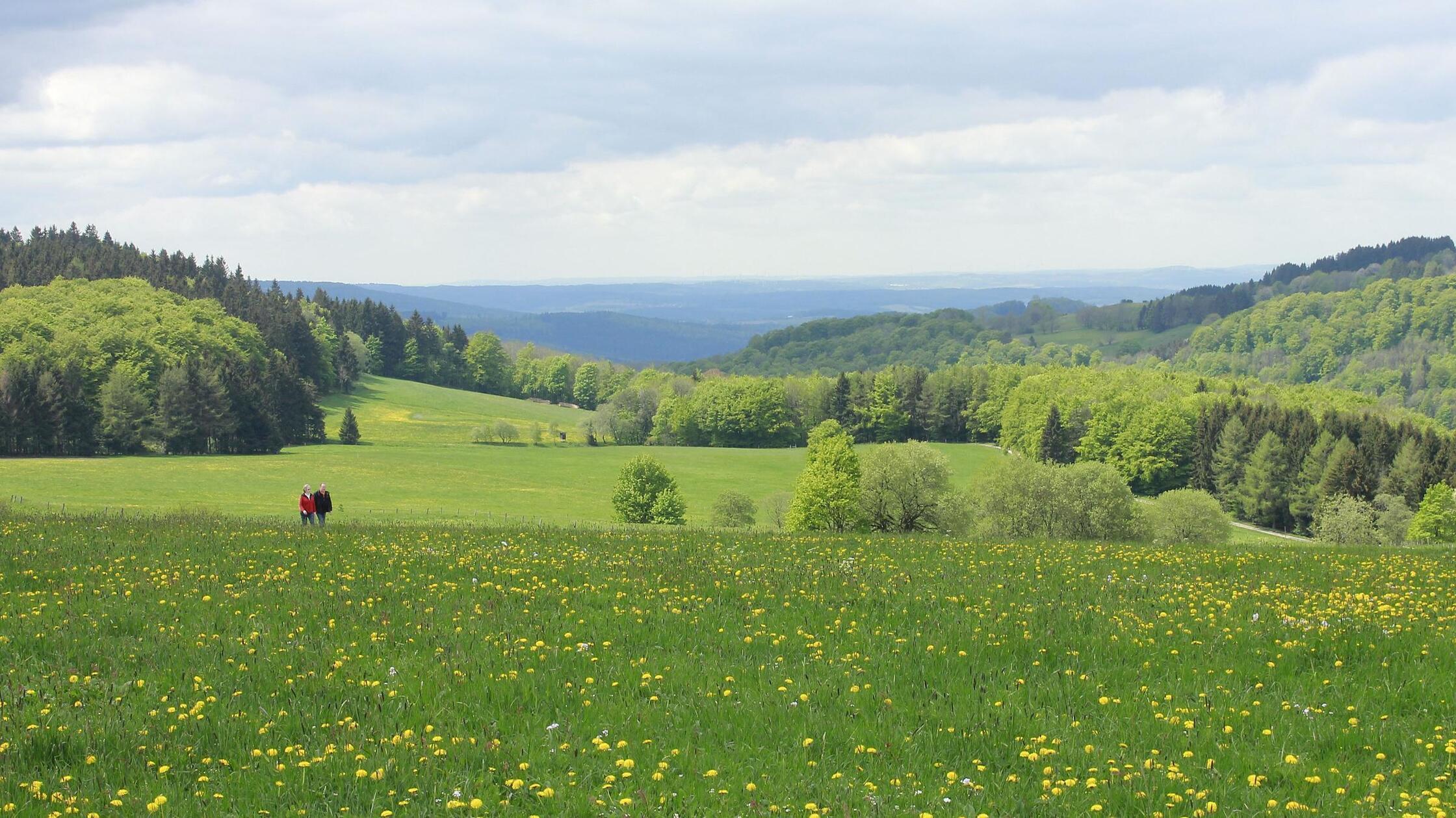 180 Kilometer - der Hochrhöner Höhenweg:
Der Hochrhöner ist als Premiumweg zertifiziert und verbindet die Höhepunkte im UNESCO-Biosphärenreservat Rhön zwischen Bad Kissingen und Bad Salzungen.