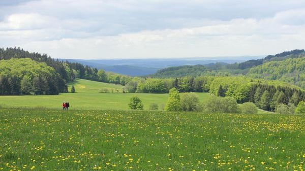 180 Kilometer - der Hochrhöner Höhenweg:
Der Hochrhöner ist als Premiumweg zertifiziert und verbindet die Höhepunkte im UNESCO-Biosphärenreservat Rhön zwischen Bad Kissingen und Bad Salzungen.