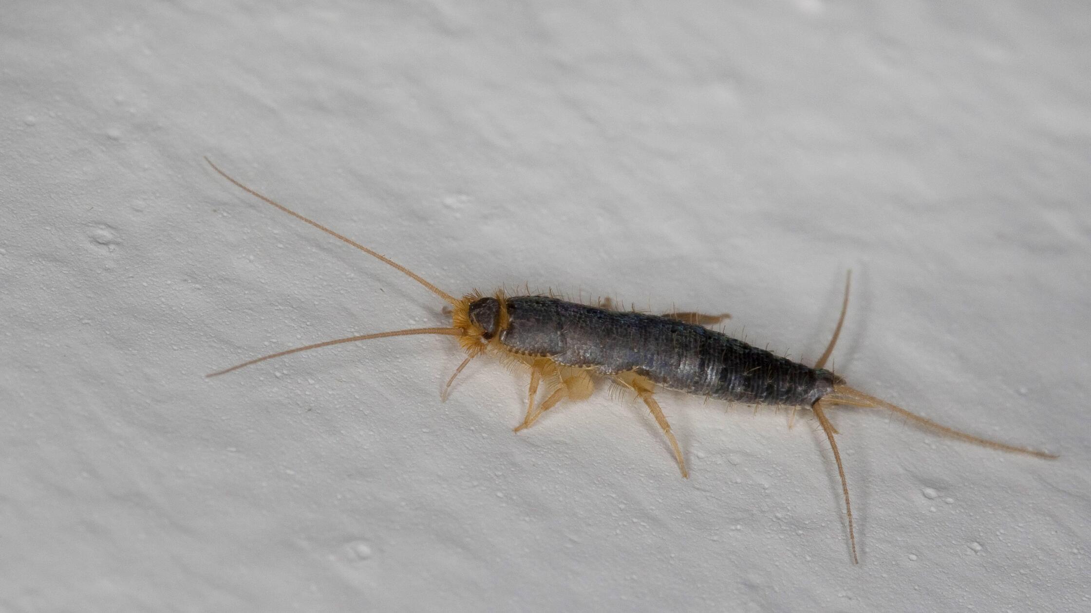 imago58910542