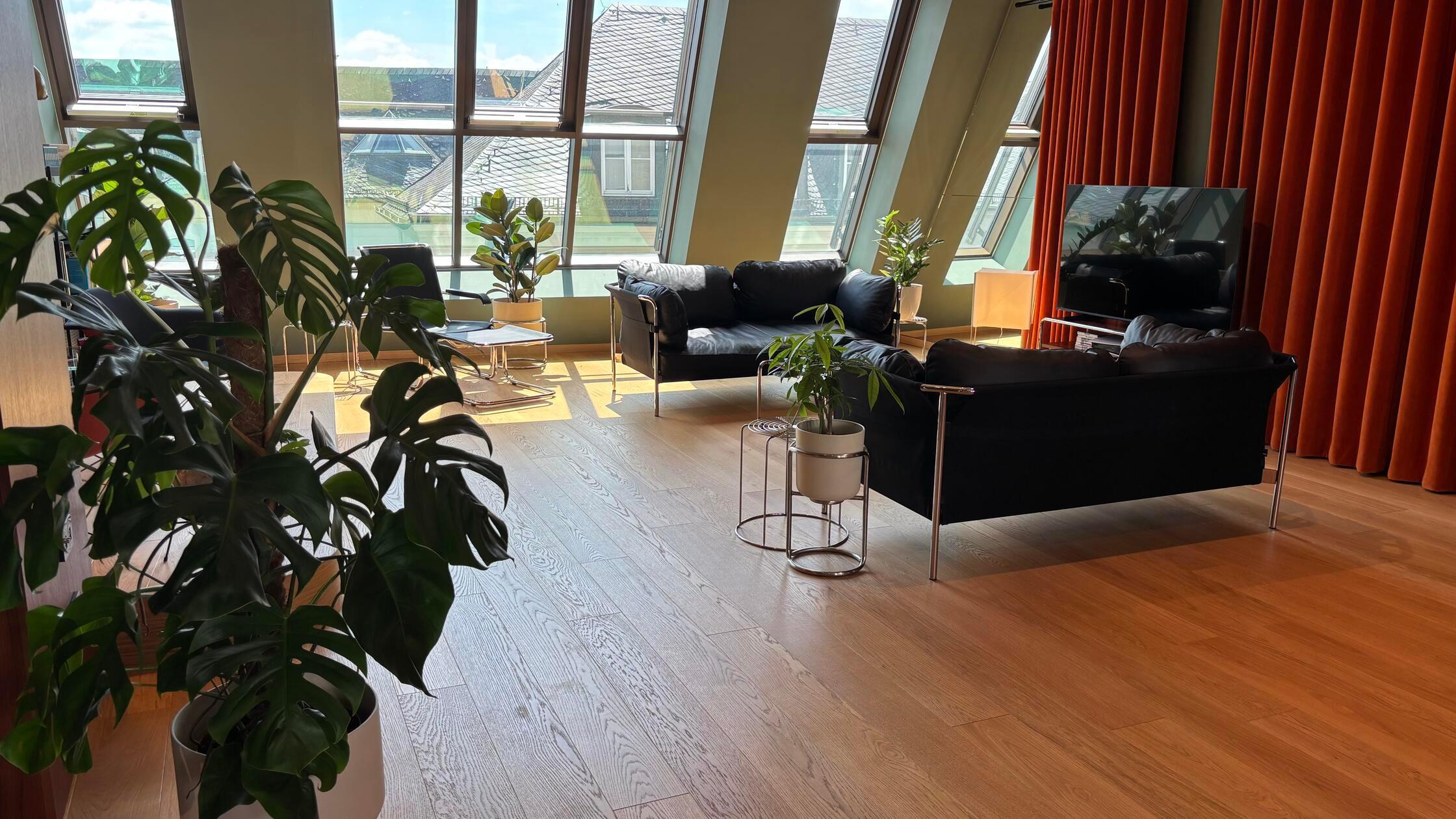Stayery Fürth