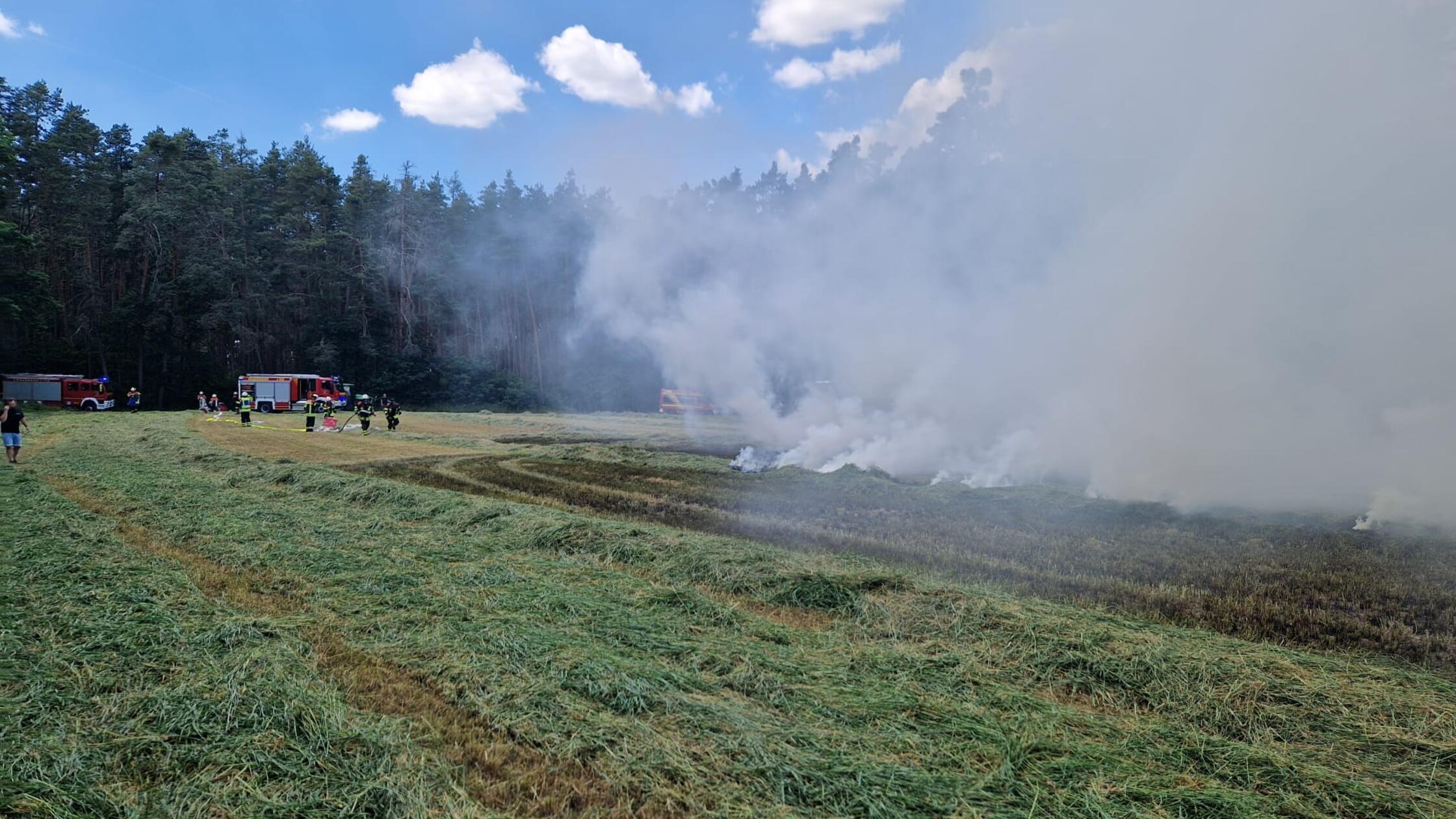 400 square meters of meadow in flames: A field burned near Ebersbach ...