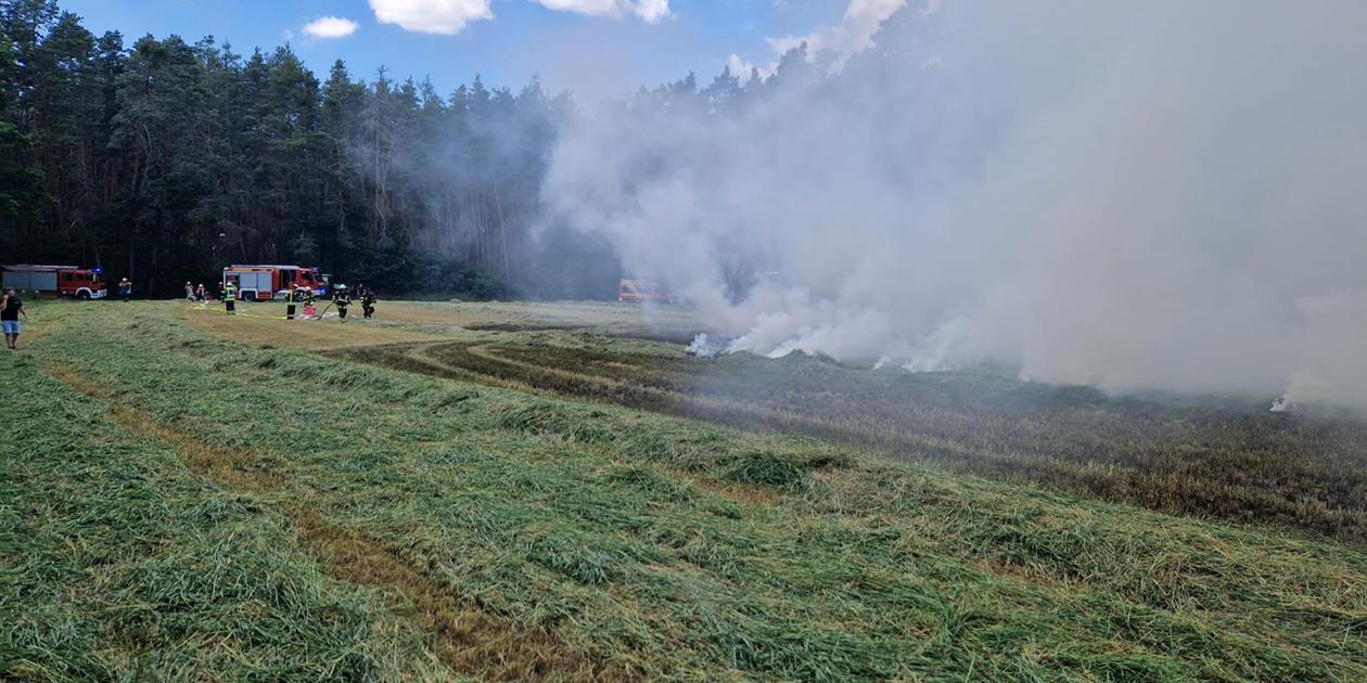400 square meters of meadow in flames: A field burned near Ebersbach ...