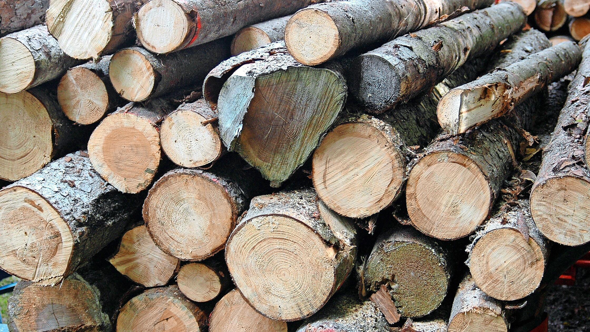 Nach-Ziegler-Insolvenz-Pl-tzlich-war-der-wichtigste-Kunde-der-WBV-Hollfeld-weg