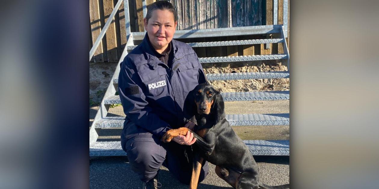 91-year-old missing: Police search dog Anton finds senior citizen in ...