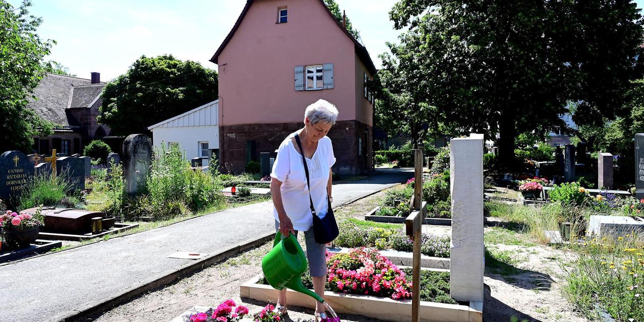 Emergency in Nuremberg: This is why cemetery caretakers are urgently ...
