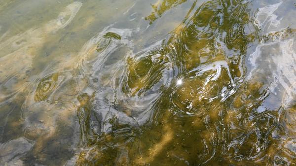 Impressionen aus Enderndorf am Brombachsee und Igelsbachsee - das war am Donnerstag, 25. Juni 2026, alles los.