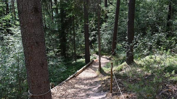 Impressionen aus Enderndorf am Brombachsee und Igelsbachsee - das war am Donnerstag, 25. Juni 2026, alles los.