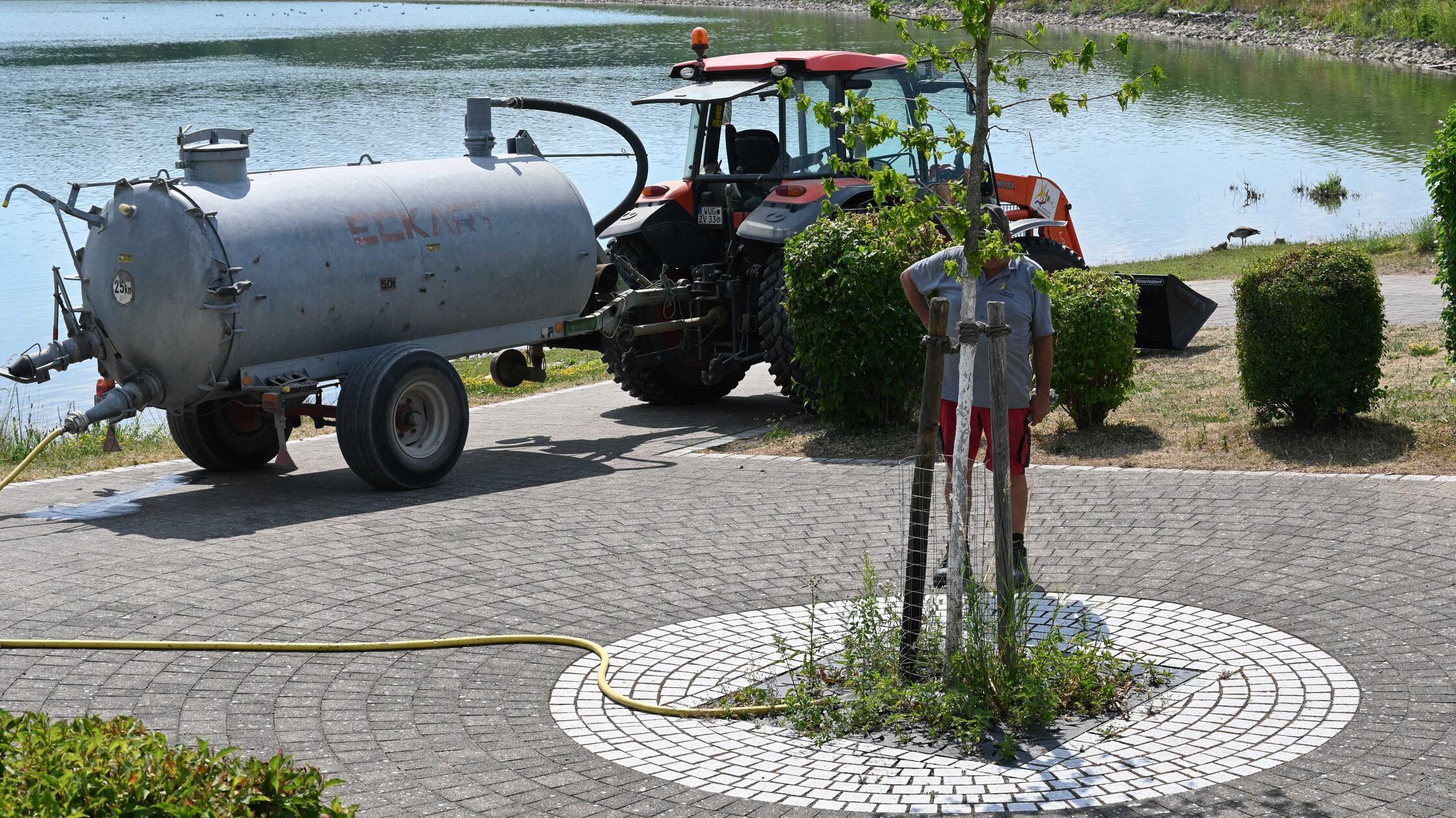 Impressionen aus Enderndorf am Brombachsee und Igelsbachsee - das war am Donnerstag, 25. Juni 2026, alles los.