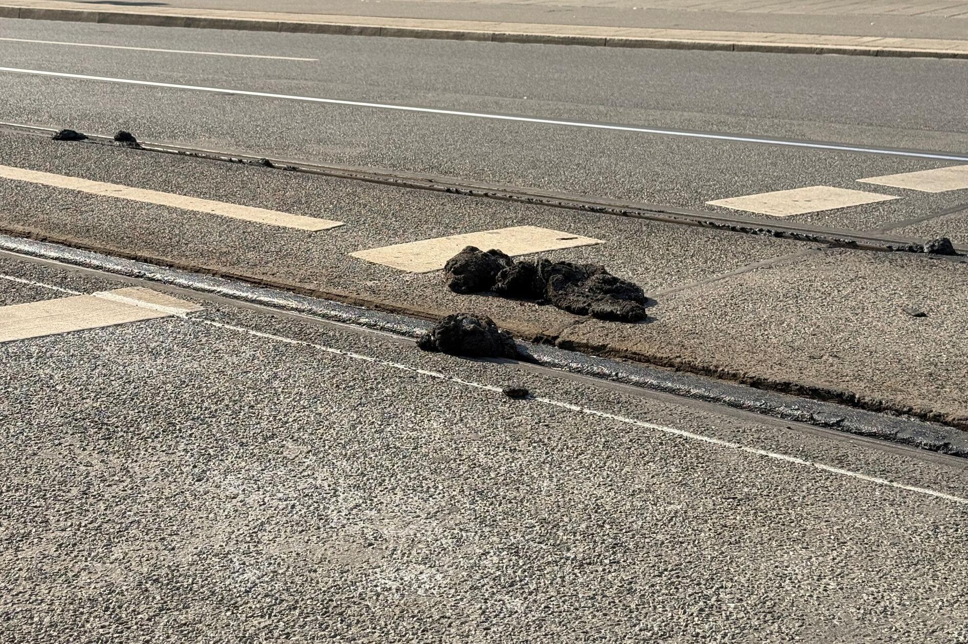 Die extremen Temperaturen der vergangenen Tage haben die Bitumenschicht an den Gleisen aufgeweicht. Nun ist klar: Auch über den gesamten Dienstag und Mittwoch hinweg müssen die Straßenbahnen im Depot bleiben.