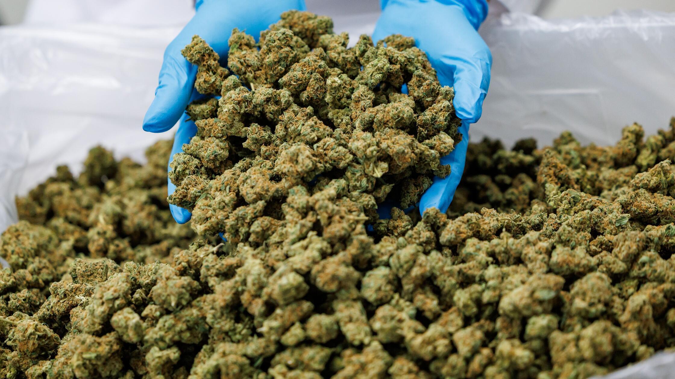 Einbruch-fr-nkische-Apotheke-T-ter-stehlen-Cannabis-im-gro-en-Stil