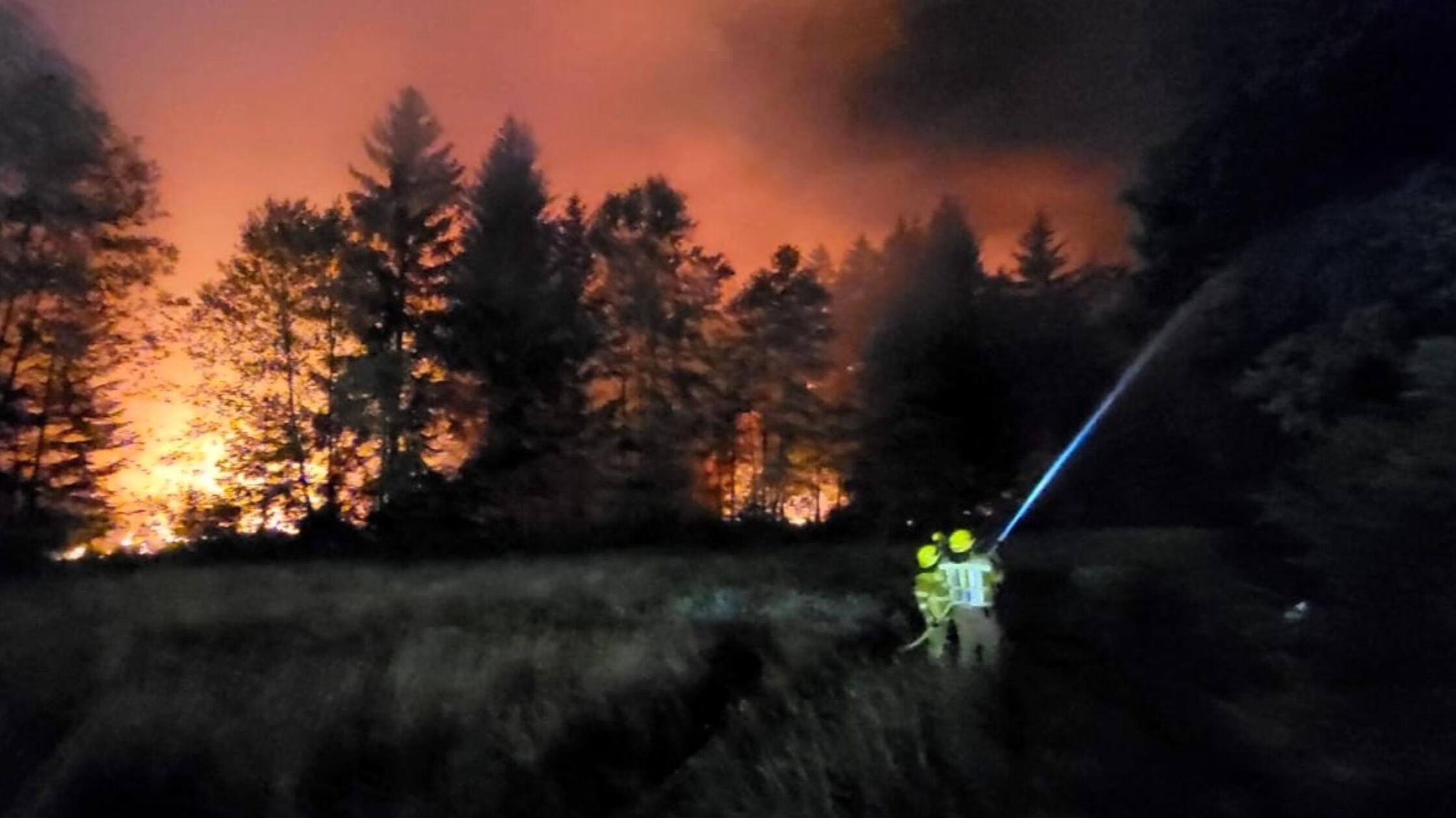 Die Feuerwehr bekämpft einen Waldbrand im Bereich 
