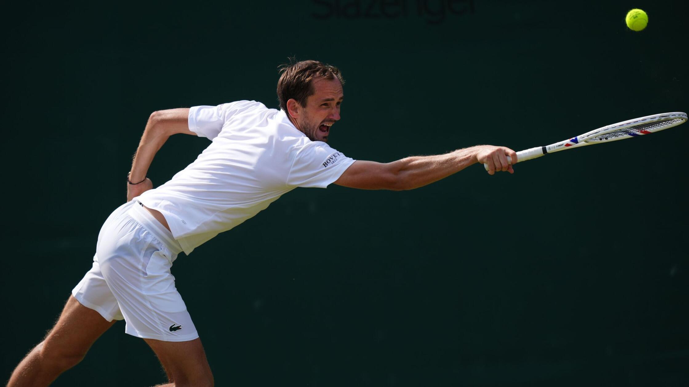 Tennis: Grand Slam/ATP-Tour, Einzel, Herren. Jan-L