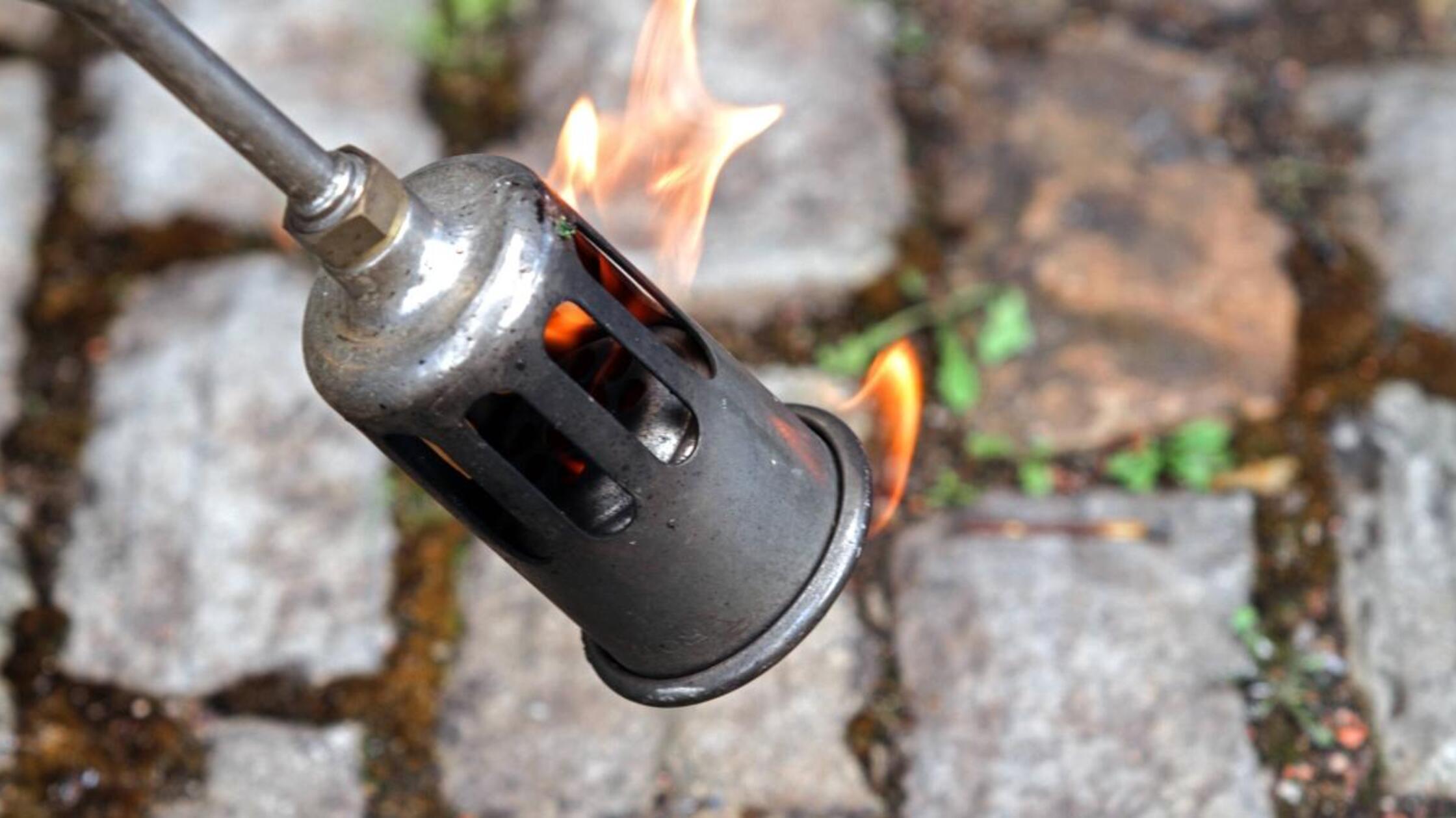 Unkraut-wird-zum-Verh-ngnis-Adelsdorfer-setzt-mit-Bunsenbrenner-Wintergarten-in-Brand