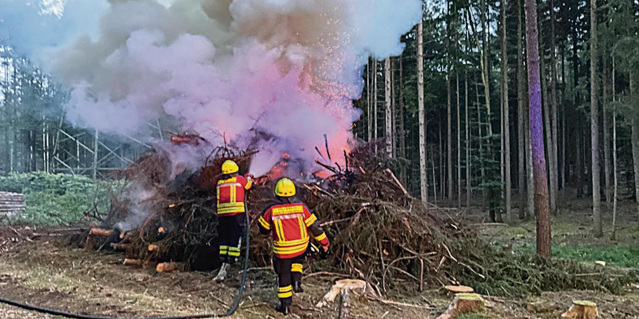 Barbecuers cause a forest fire at Brombachsee in the middle of the night