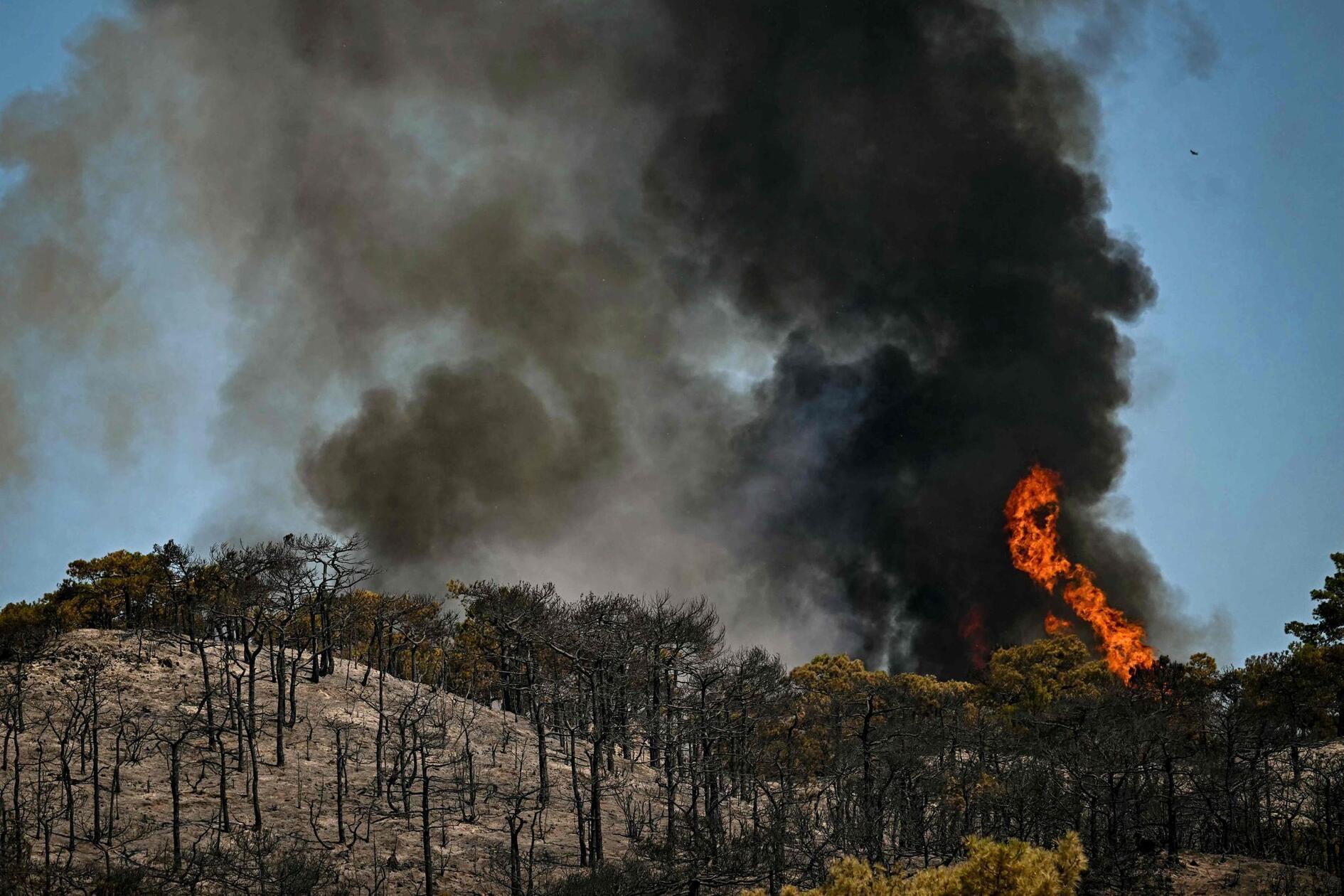 Betroffen sind 26 Ortschaften in einem Gebirgsmassiv westlich von Perpignan, wo die Flammen sich inzwischen durch 4.600 Hektar Fläche gefressen haben, wie die Deutsche Presse-Agentur am Montag meldet.