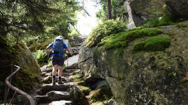 Wandern am Ochsenkopf Wandern am Ochsenkopf Copyri