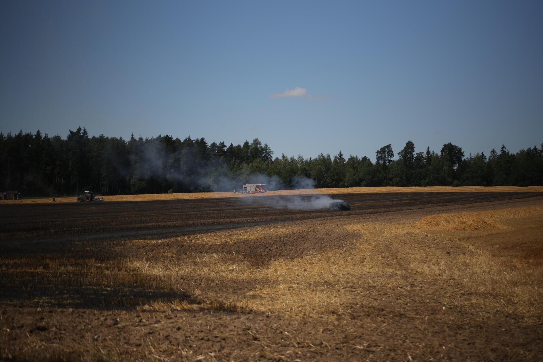 Auf einer Fläche von etwa 5000 Quadratmetern stand das betroffene Feld in Flammen. Die oberste Priorität für die eintreffenden Feuerwehrleute: Der Brand durfte nicht auf ein angrenzendes Waldstück übergreifen.