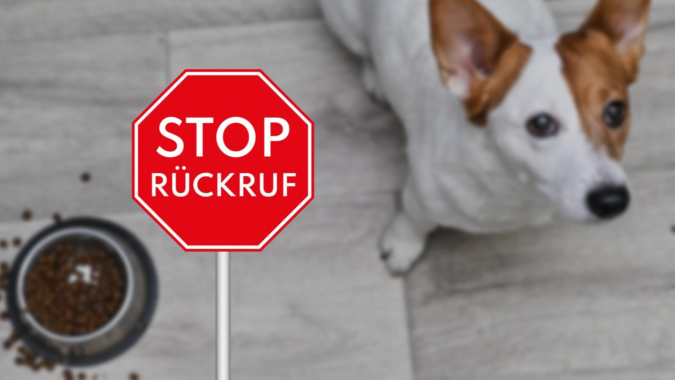 Erbrechen-Durchfall-und-Fieber-drohen-Drogerie-ruft-Hunde-Snack-zur-ck-nicht-verf-ttern