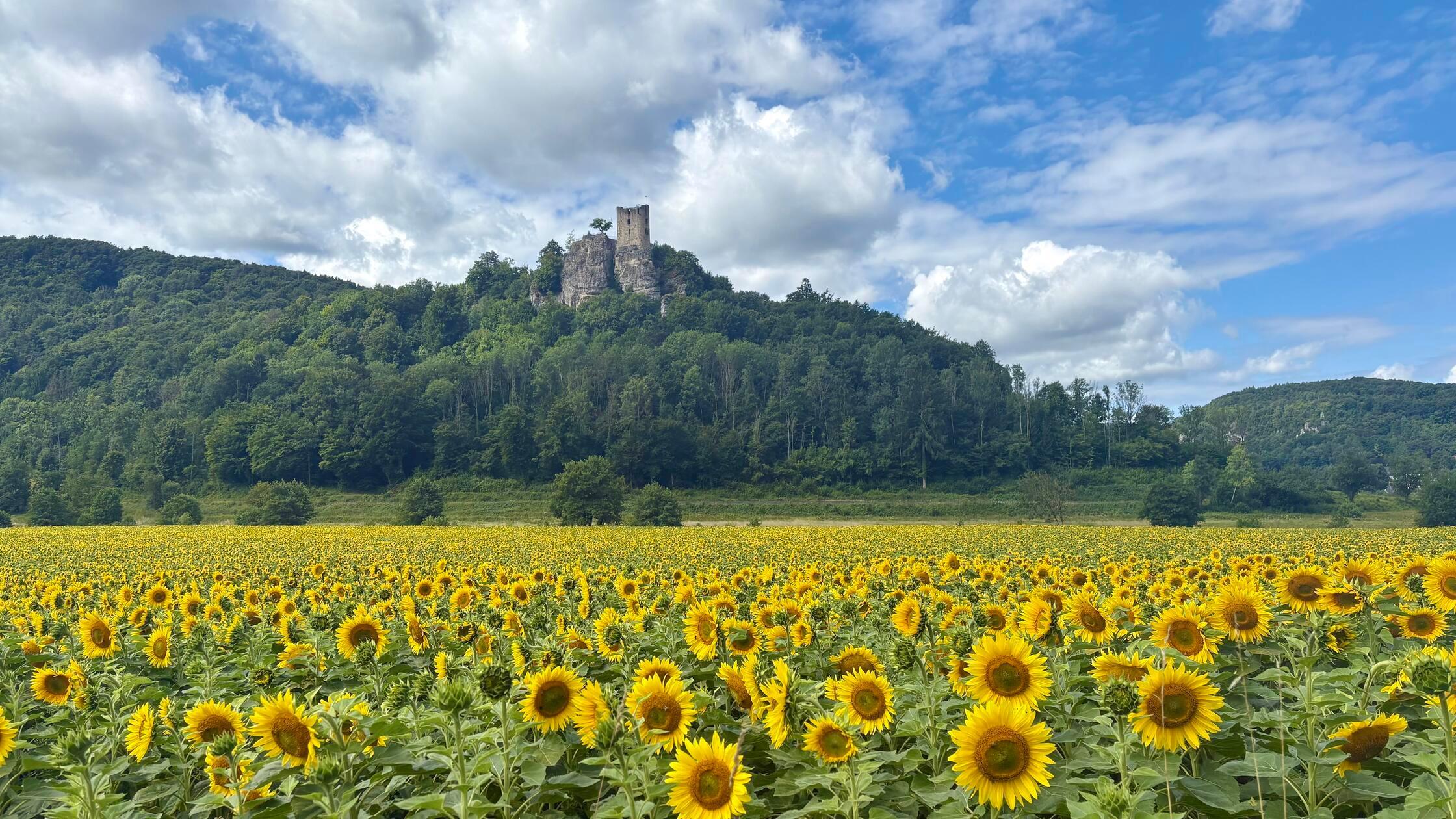 Der Fränkische Schweiz-Verein Streitberg bietet ei