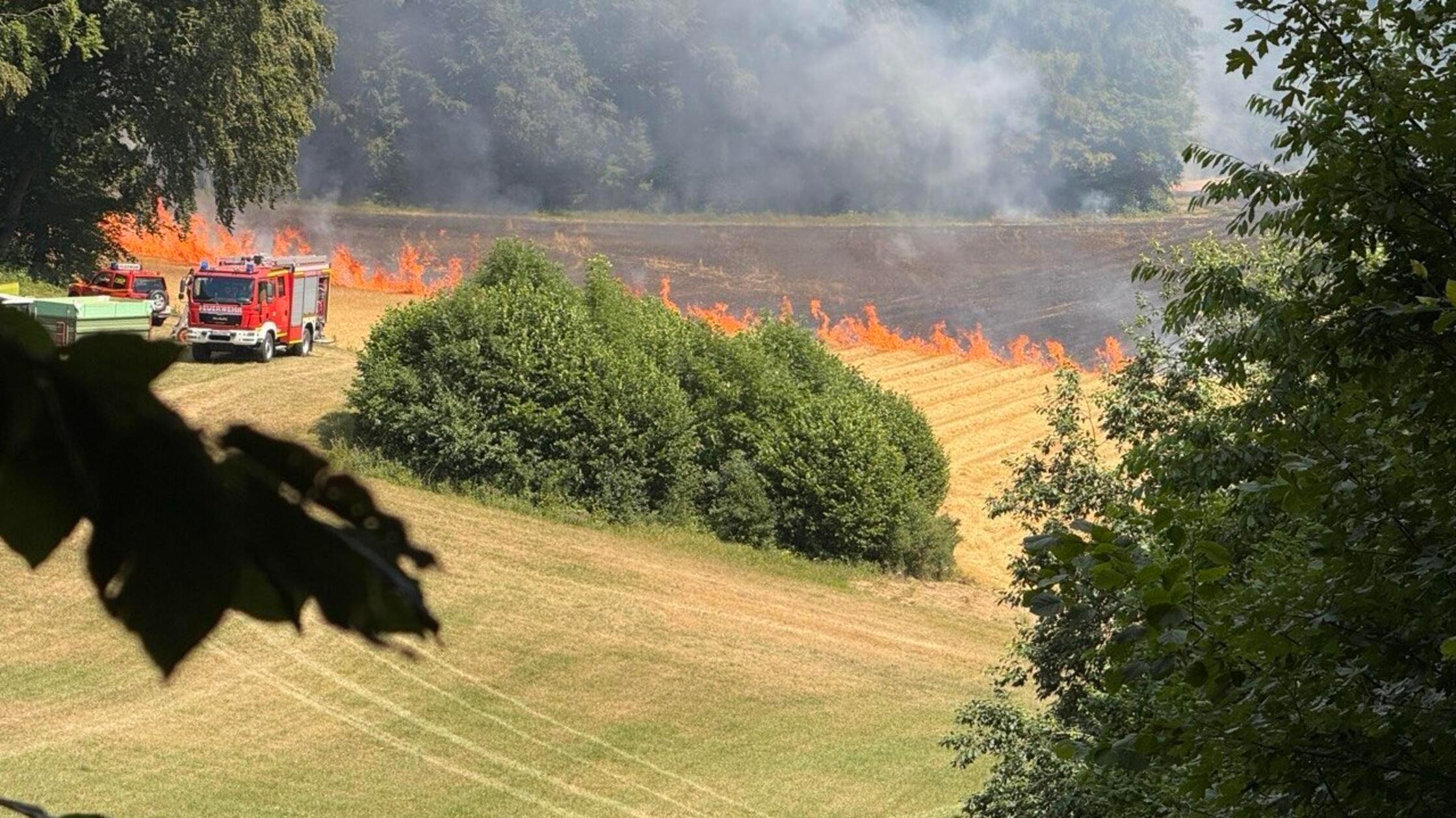 A grain field was on fire at Osternohe Castle Hill