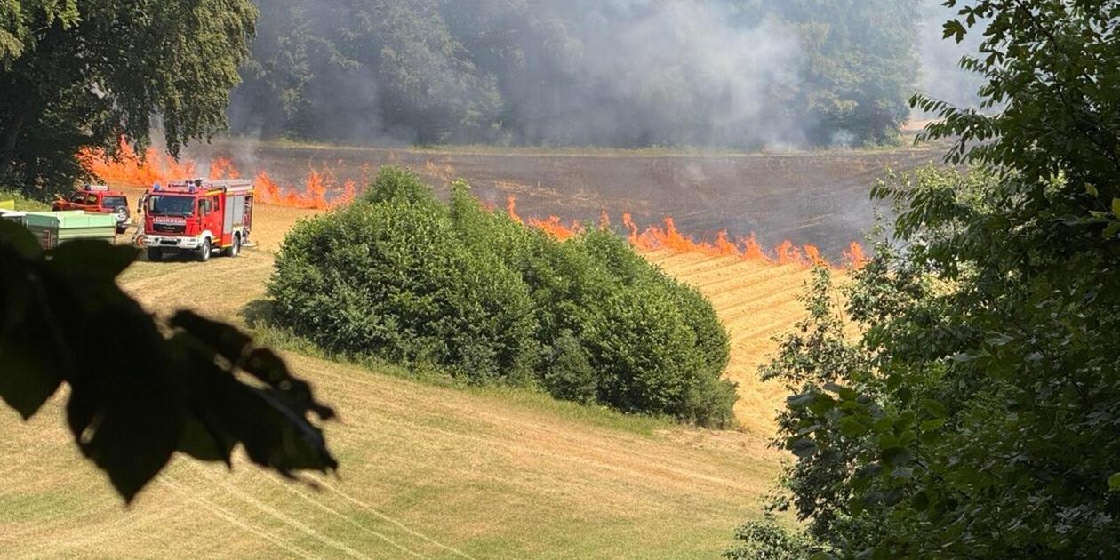 A grain field was on fire at Osternohe Castle Hill