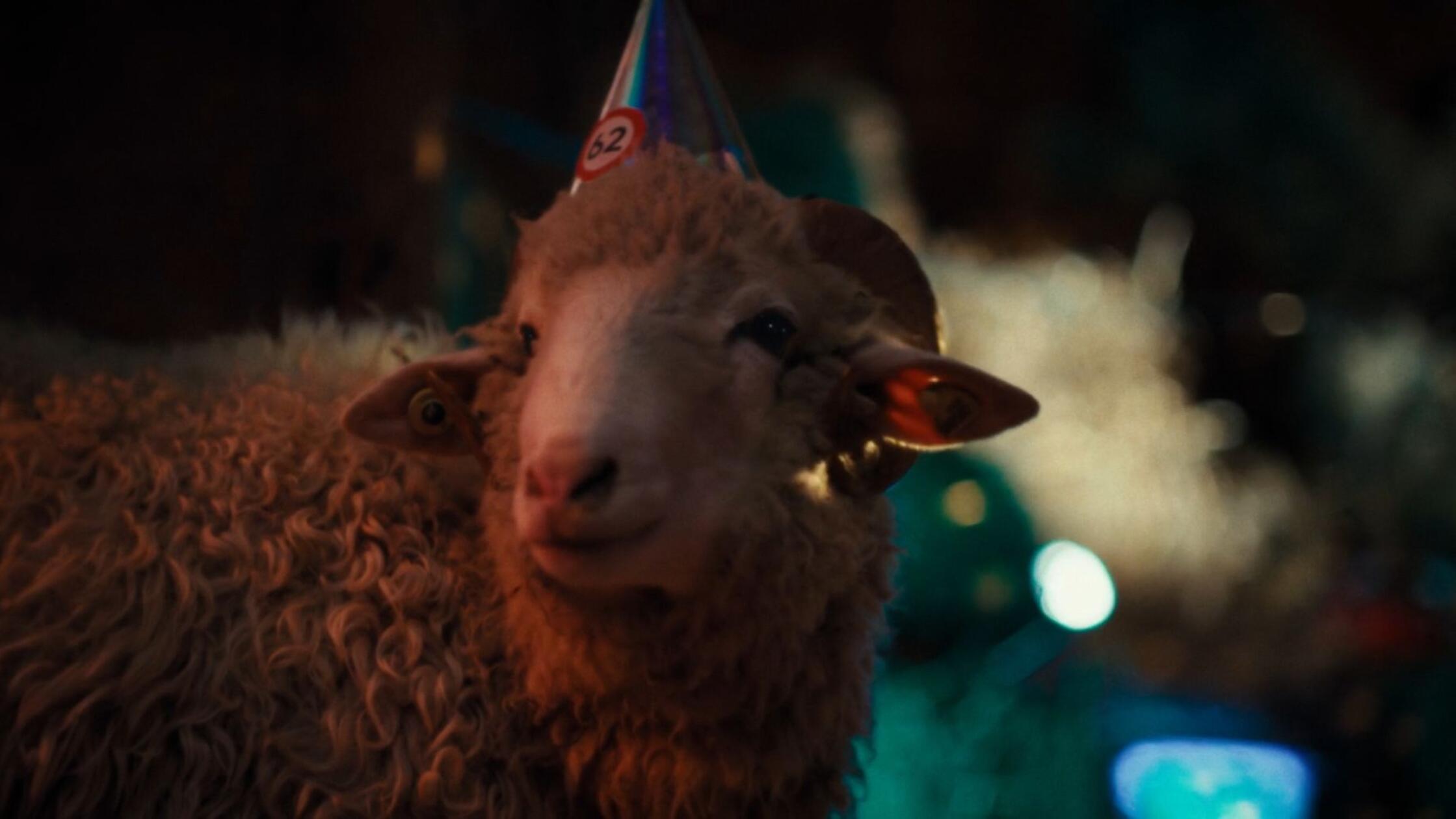 Serie-Sheep-Schafe-auf-der-Suche-nach-dem-Sinn-des-Lebens