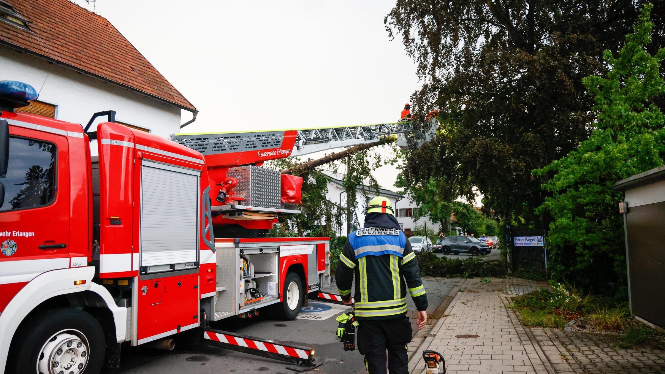 Die Feuerwehr Erlangen im Dauer-Einsatz. Ein Baumschaden in der Pommernstraße,