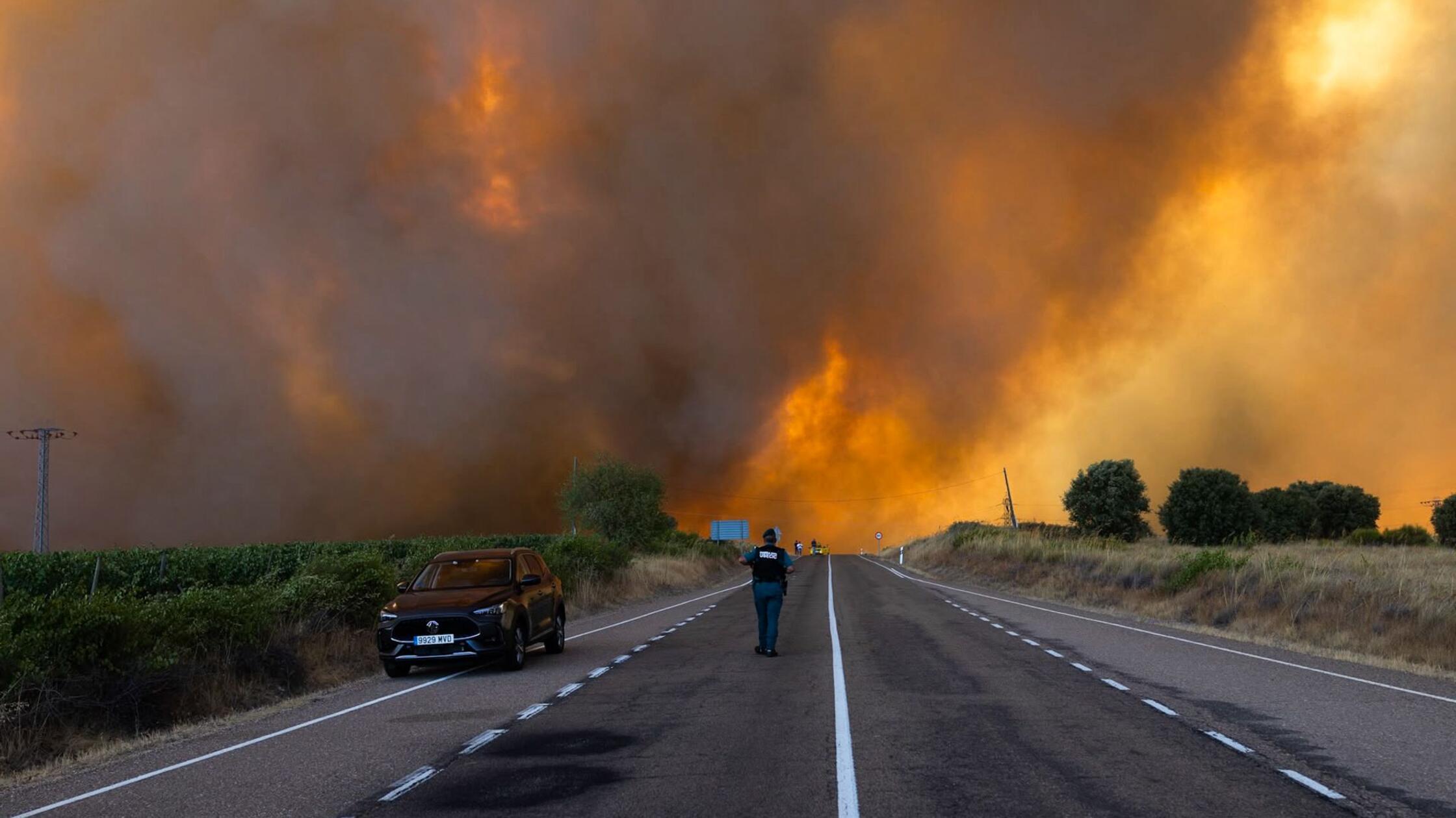 Dichter Rauch ist während eines Waldbrandes am Ran