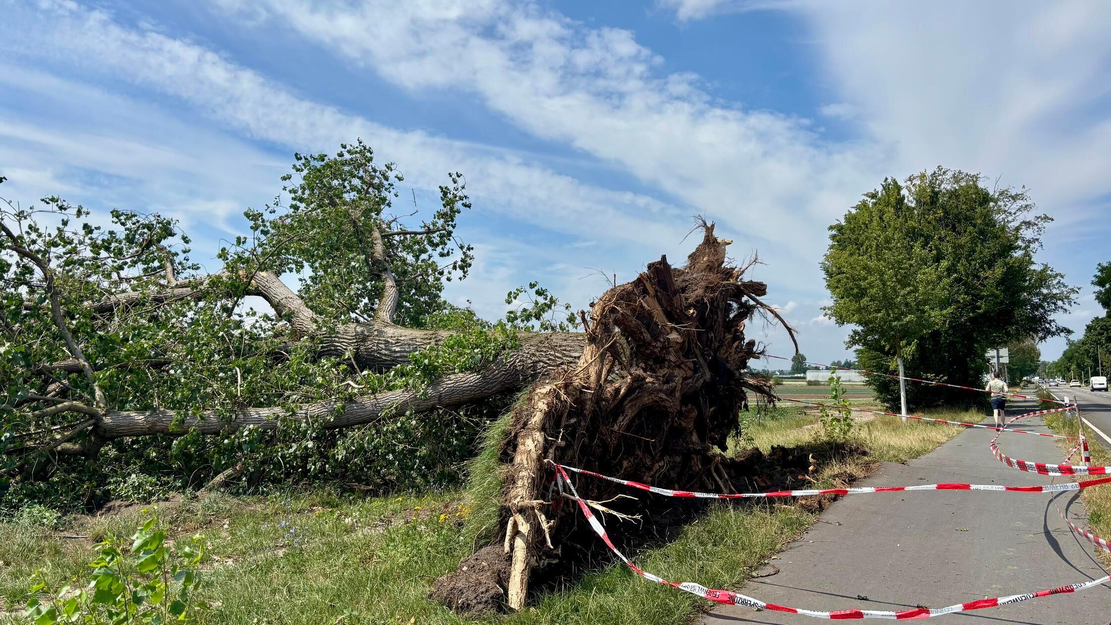 Unwetter_knoblauchsland3