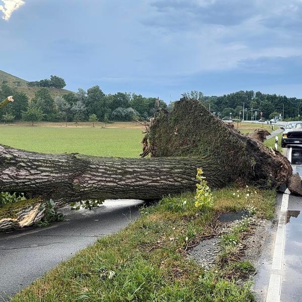 Starke Unwetter haben am Dienstag (14.07.2026) Tei