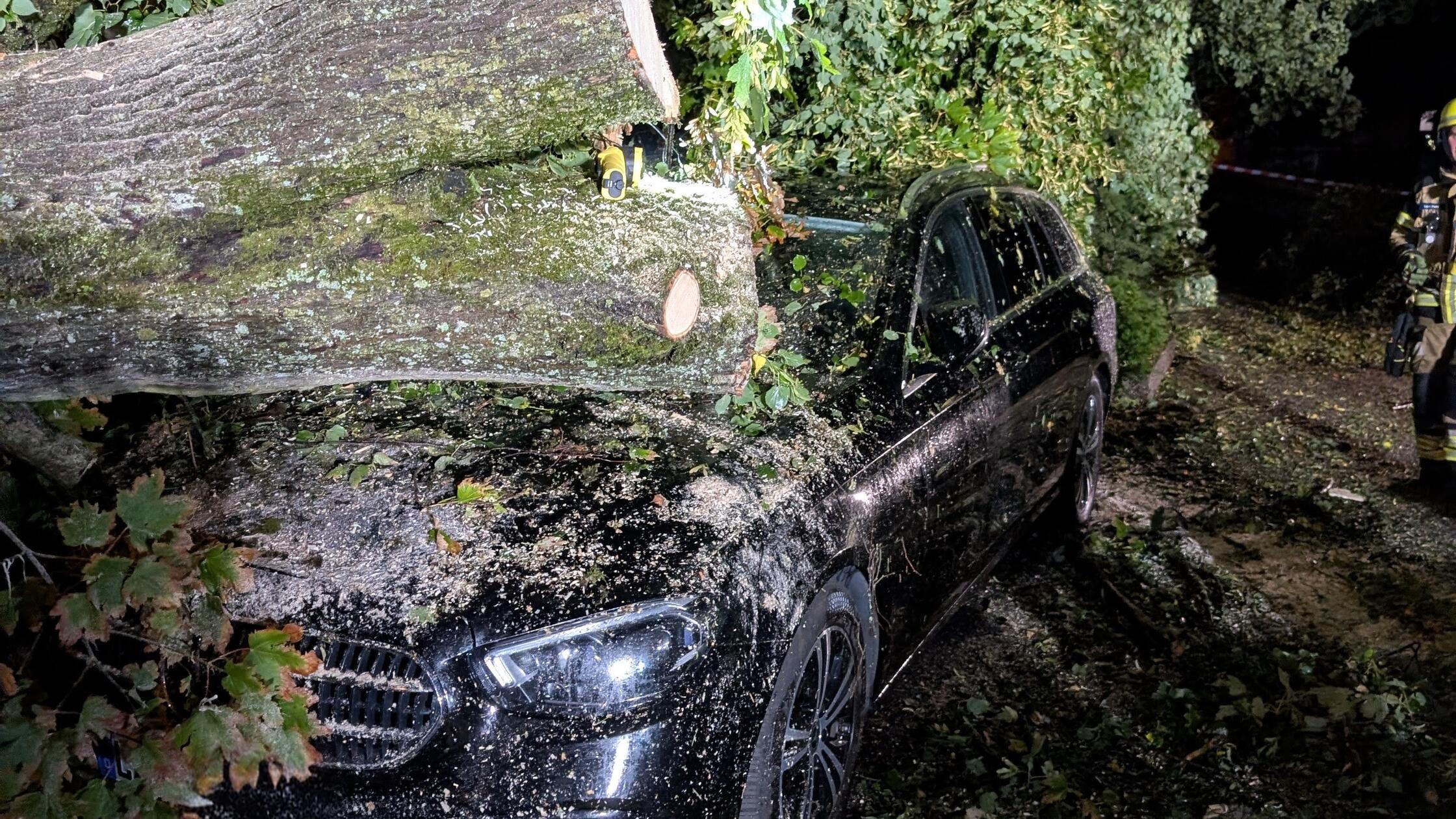 Unwetter umgestürzter Baum