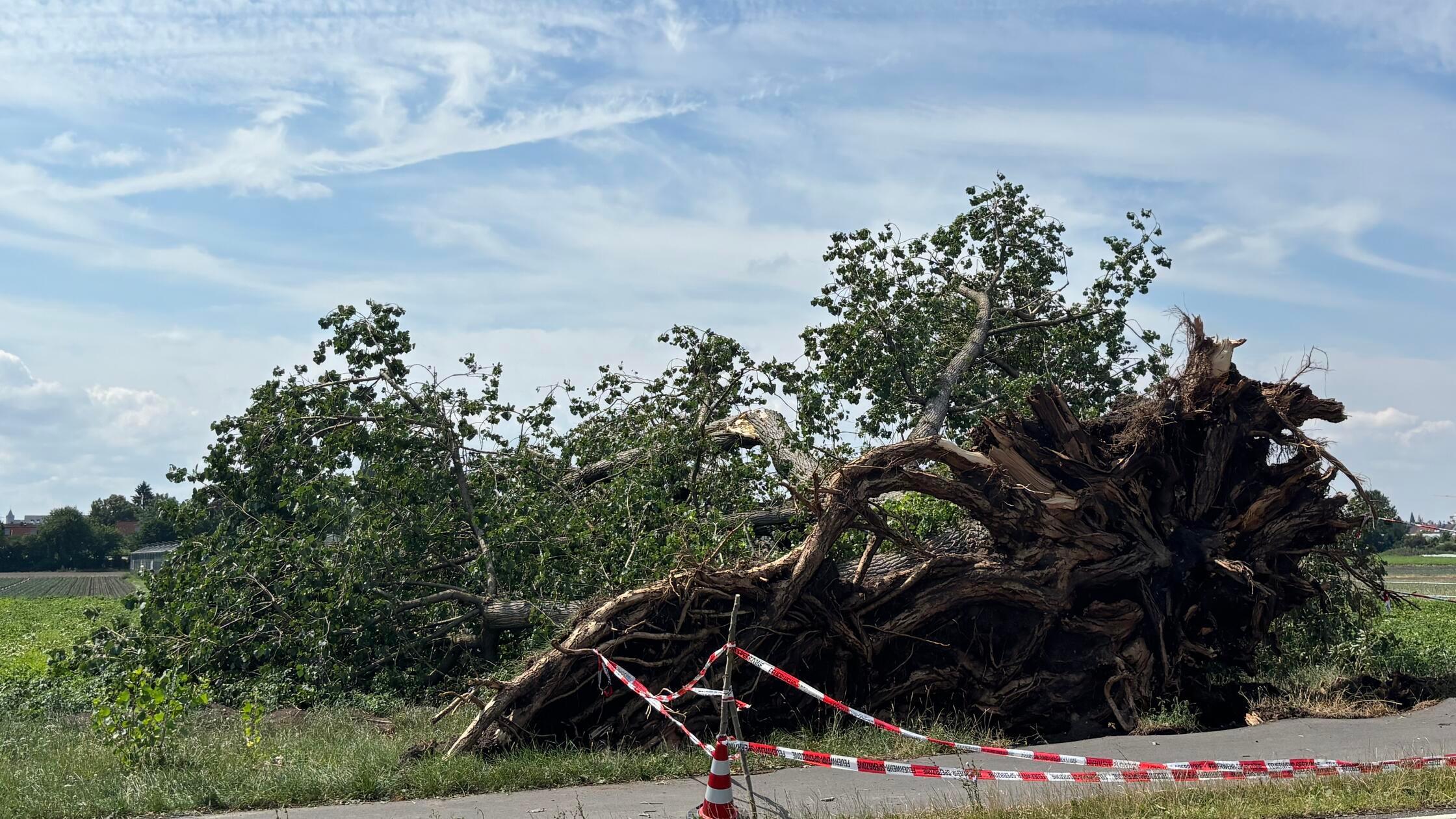 Unwetter_knoblauchsland2