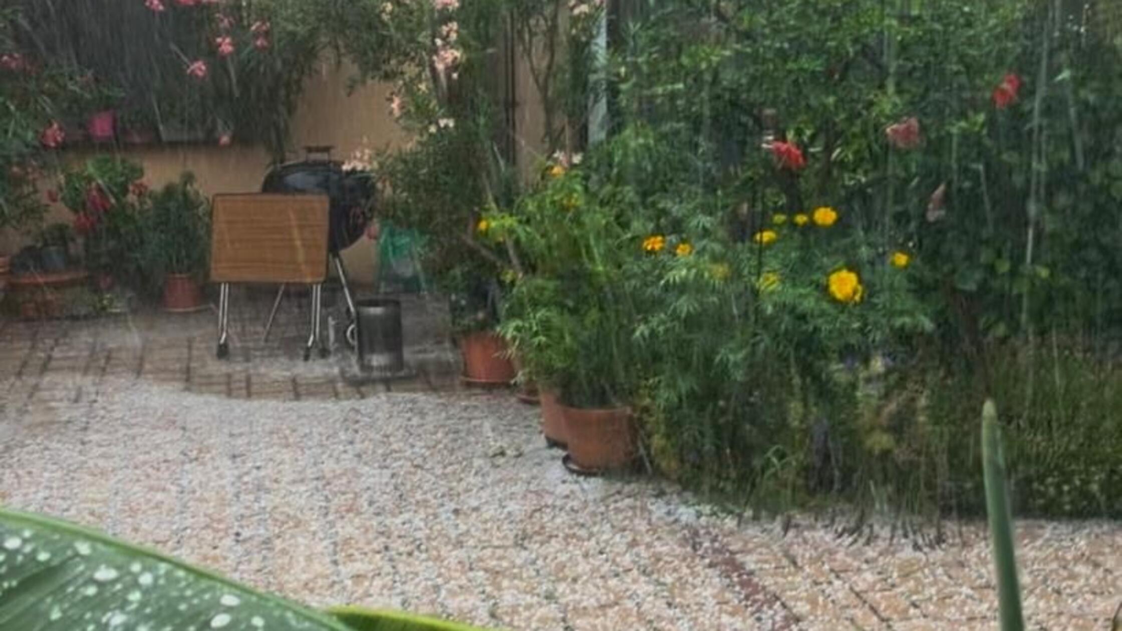 Aa