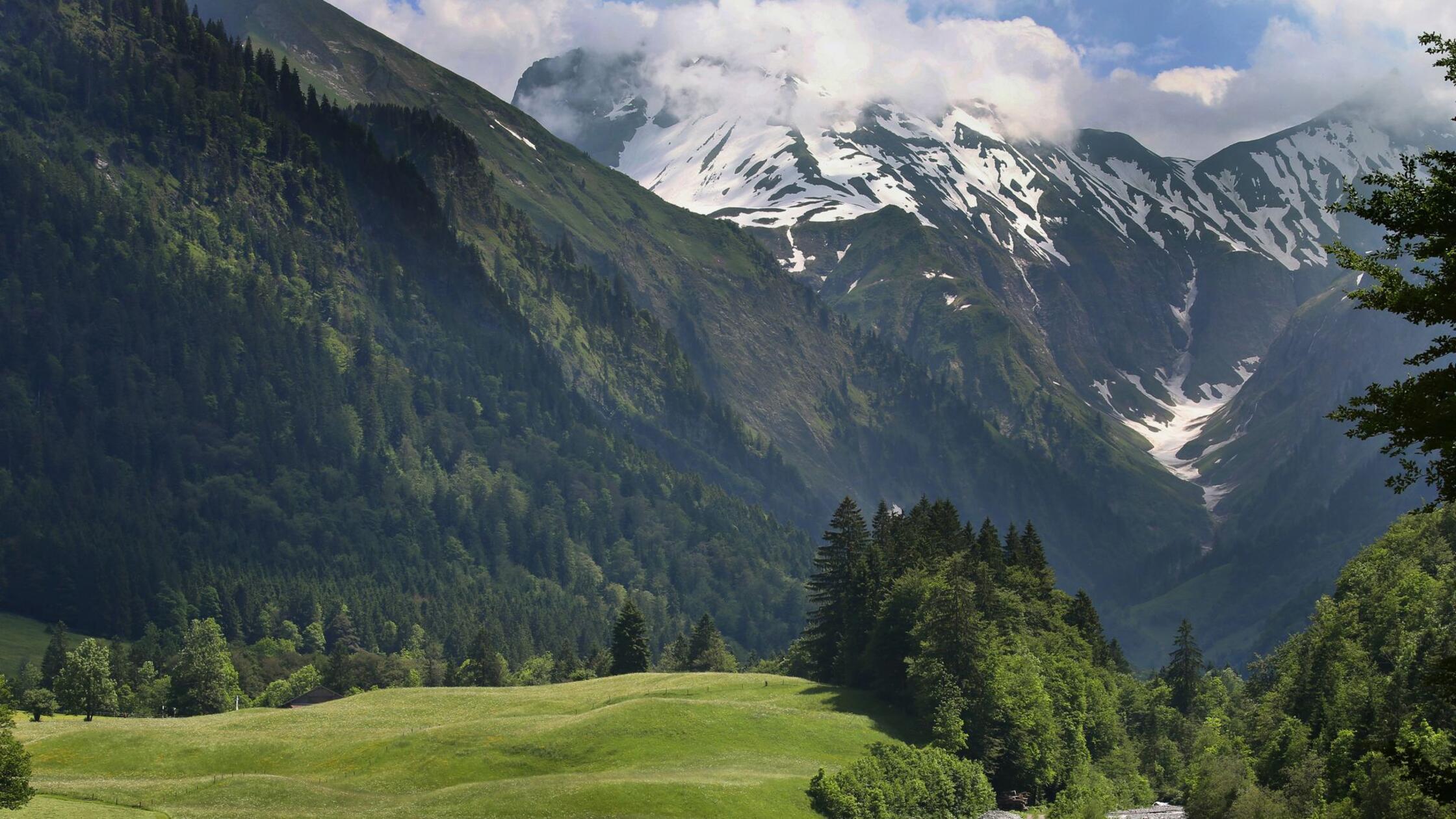 Ein Tal im Oberallgäu, nahe Österreich. (zu dpa: «