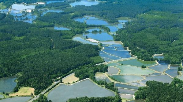 Auch in der Oberpfalz hat die Karpfenwirtschaft das Land verändert. Die Gegend um Tirschenreuth wird "Land der 1000 Teiche" genannt.