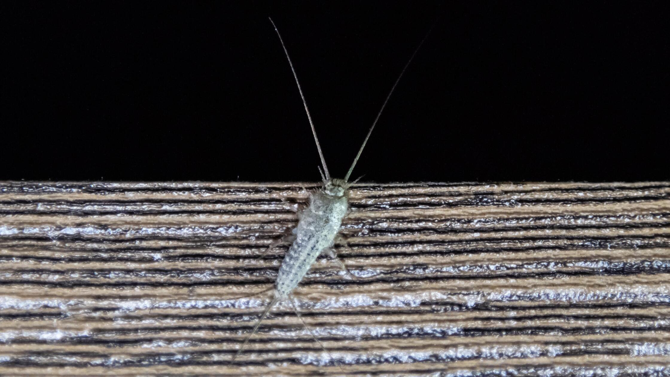 imago752566008 (1)