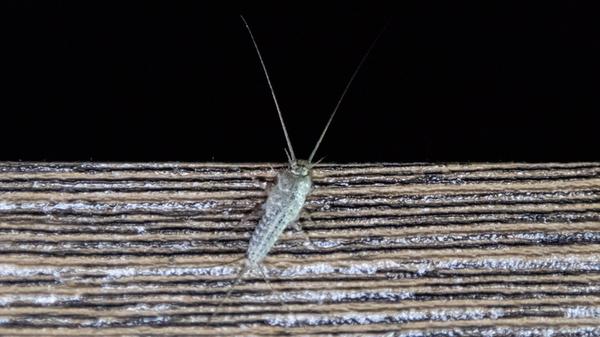 imago752566008 (1)