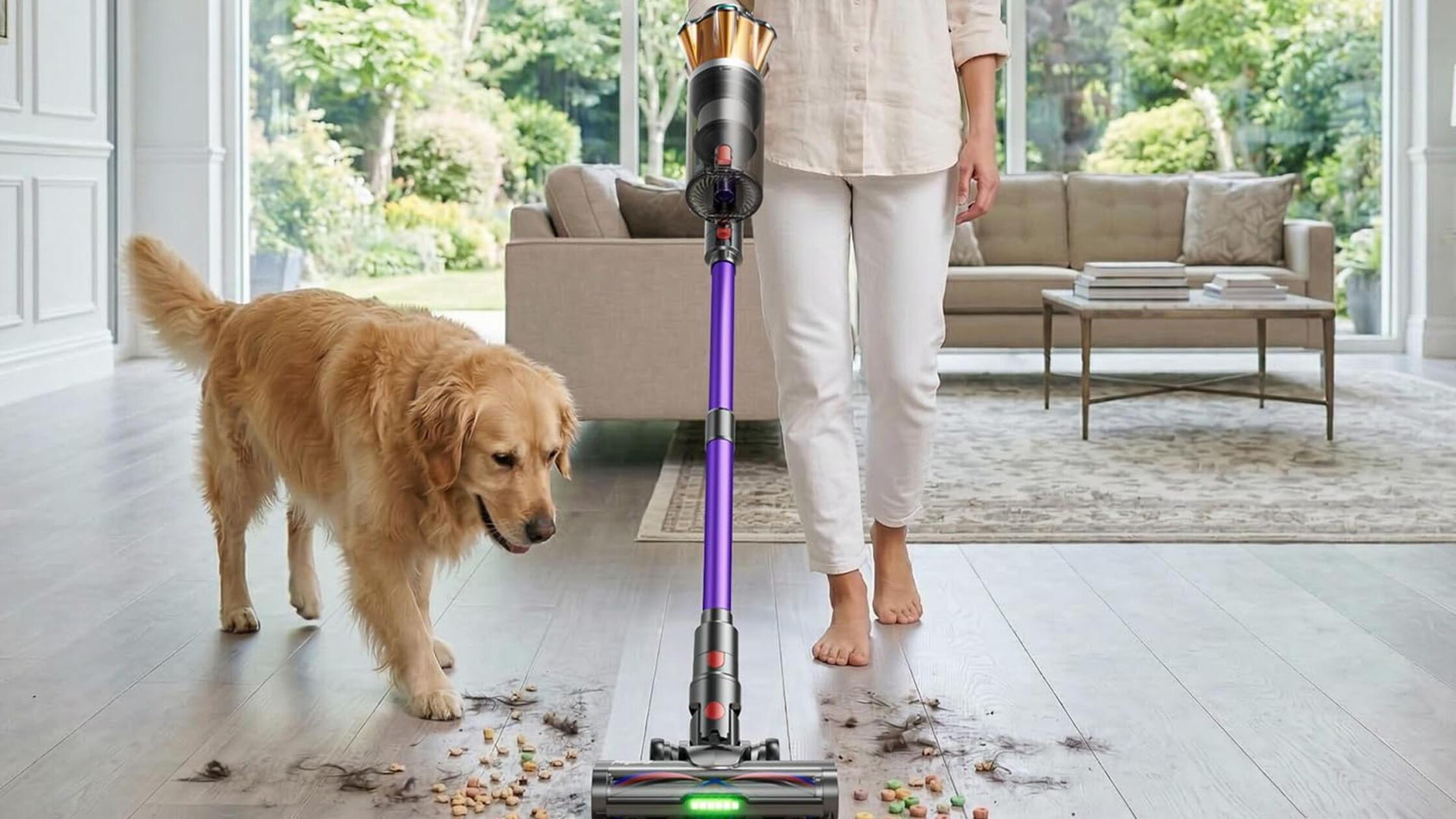 Dyson V8 Akku-Staubsauger
