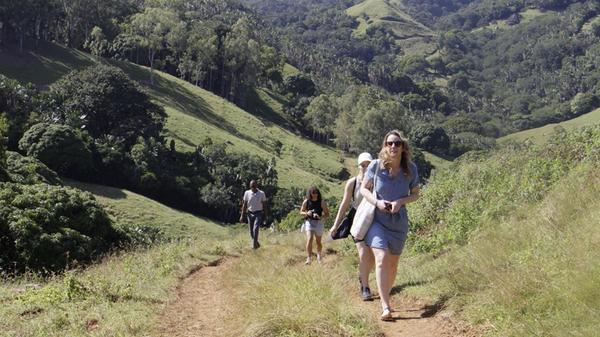 Das Ferney-Tal ist ein Naturschutzgebiet im Südosten von Mauritius, das einen seltenen Einblick in die ursprüngliche Vegetation der Insel bietet. Am eindrücklichsten ist eine geführte Tour mit Rangern, bei der Gäste viel über die heimischen Pflanzen und Tiere sowie den Naturschutz vor Ort erfahren.