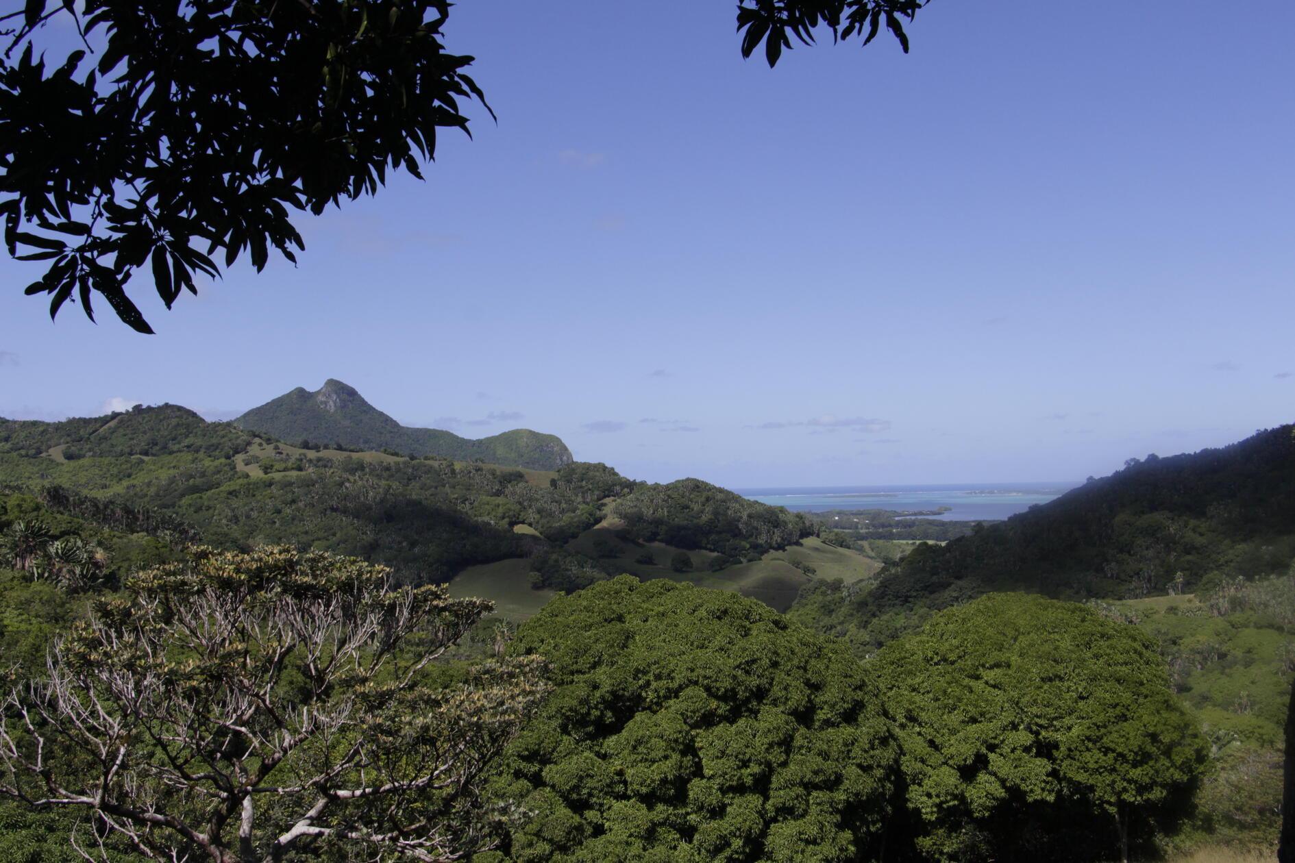 Urlauber können im Ferney-Tal wandern, kleine Wasserfälle im Dschungel entdecken und an Aussichtspunkten weit über die grünen Hügel bis zum Meer blicken.