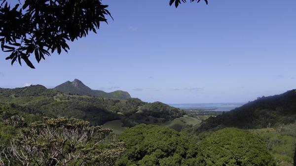 Urlauber können im Ferney-Tal wandern, kleine Wasserfälle im Dschungel entdecken und an Aussichtspunkten weit über die grünen Hügel bis zum Meer blicken.