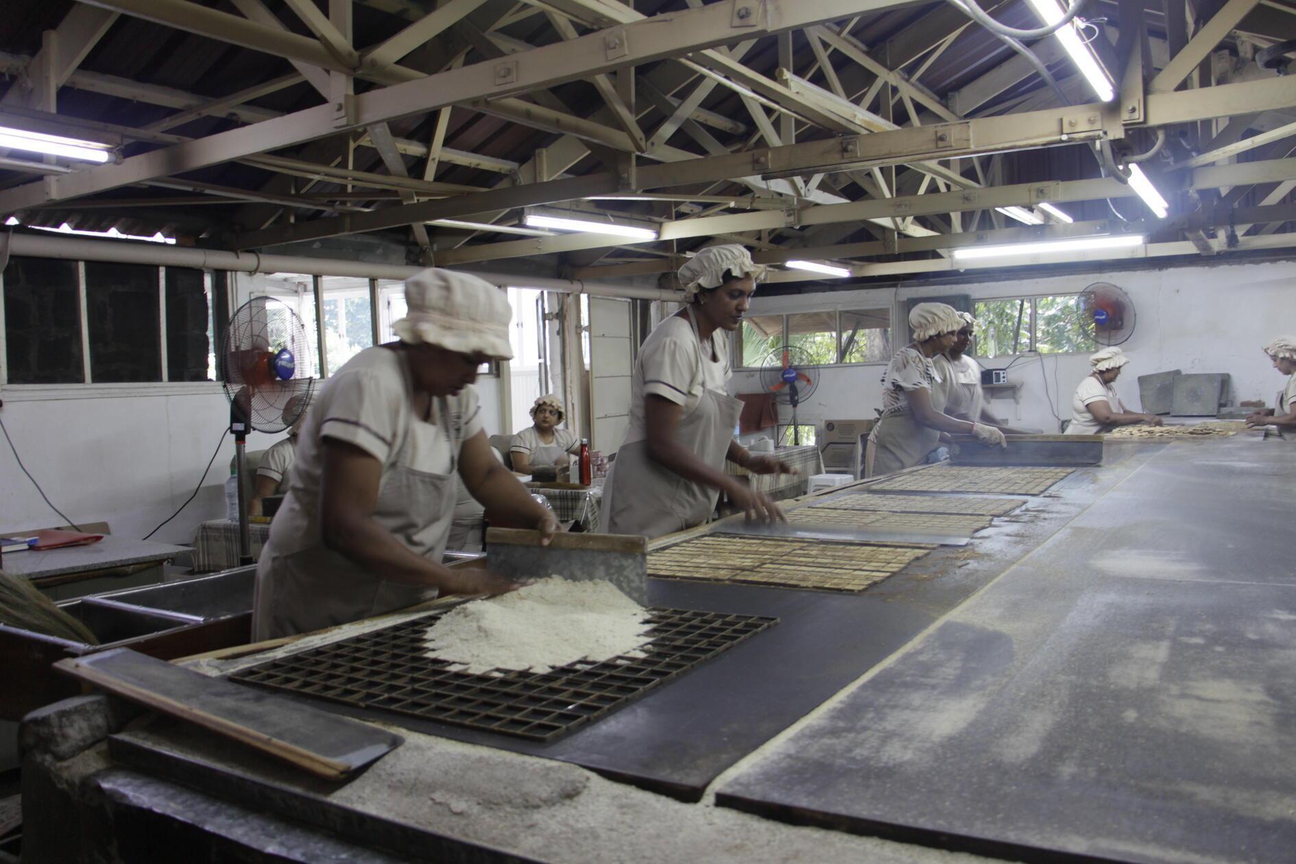 Täglich werden hier 700 bis 800 Kilo Maniok zu Keksen verarbeitet. Viele Schritte übernehmen Frauen, die während ihrer Schicht an den unterschiedlichen Produktionsstätten rotieren.