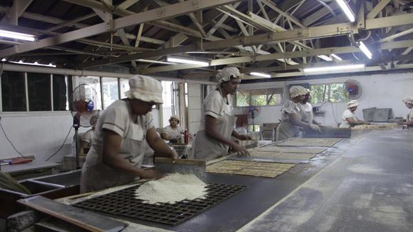 Täglich werden hier 700 bis 800 Kilo Maniok zu Keksen verarbeitet. Viele Schritte übernehmen Frauen, die während ihrer Schicht an den unterschiedlichen Produktionsstätten rotieren.