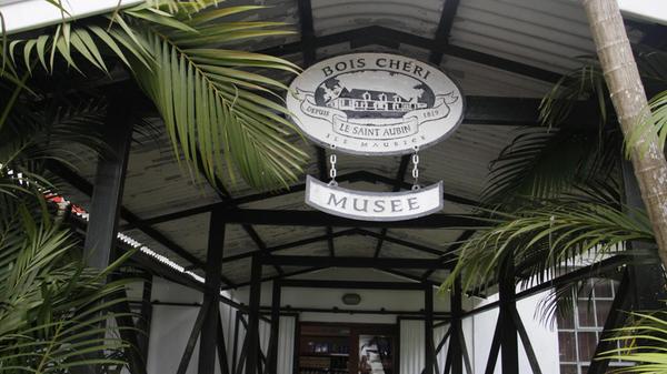 Das Museum auf dem Gelände von Bois Chéri dokumentiert die Geschichte der ältesten Teeplantage der Insel, die auf das Gut Le Saint Aubin zurückgeht, das seit 1819 besteht. Im Kolonialstil gehalten, gibt es Einblick in Anbau, Verarbeitung und die wirtschaftliche Bedeutung des Tees für Mauritius. Wer möchte, kann im Anschluss verschiedene Teesorten verkosten.