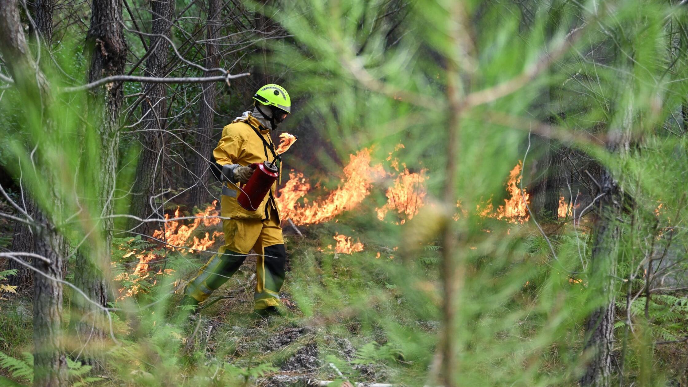 Ein Feuerwehrmann legt während der Waldbrände im S