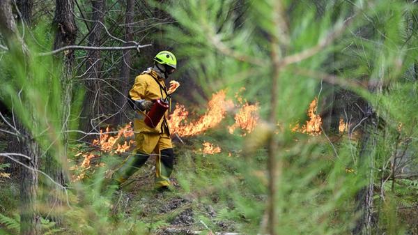 Ein Feuerwehrmann legt während der Waldbrände im S