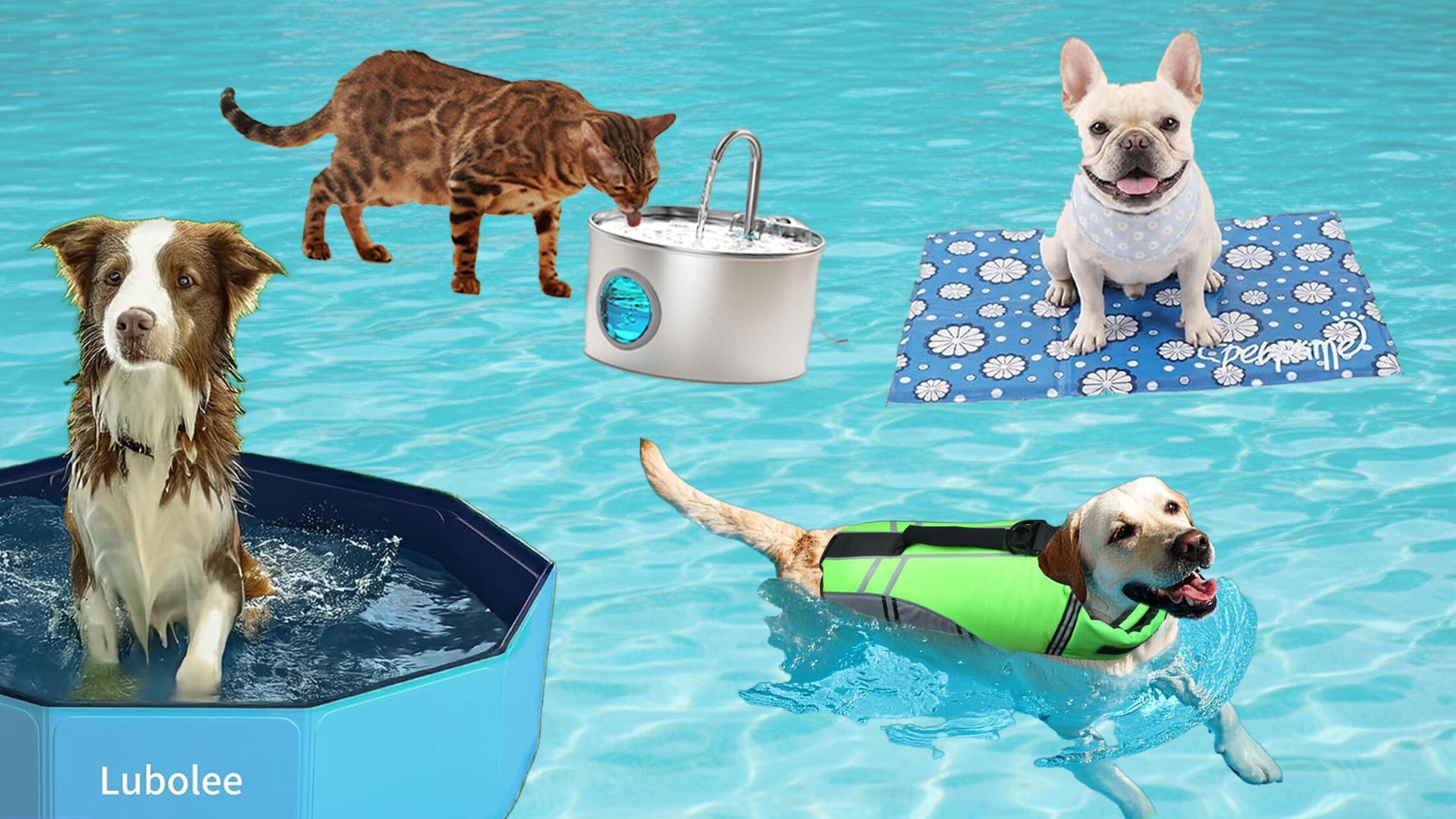 26Sommer Sonne Vierbeiner Angebote