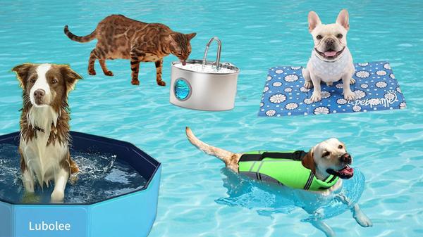 26Sommer Sonne Vierbeiner Angebote
