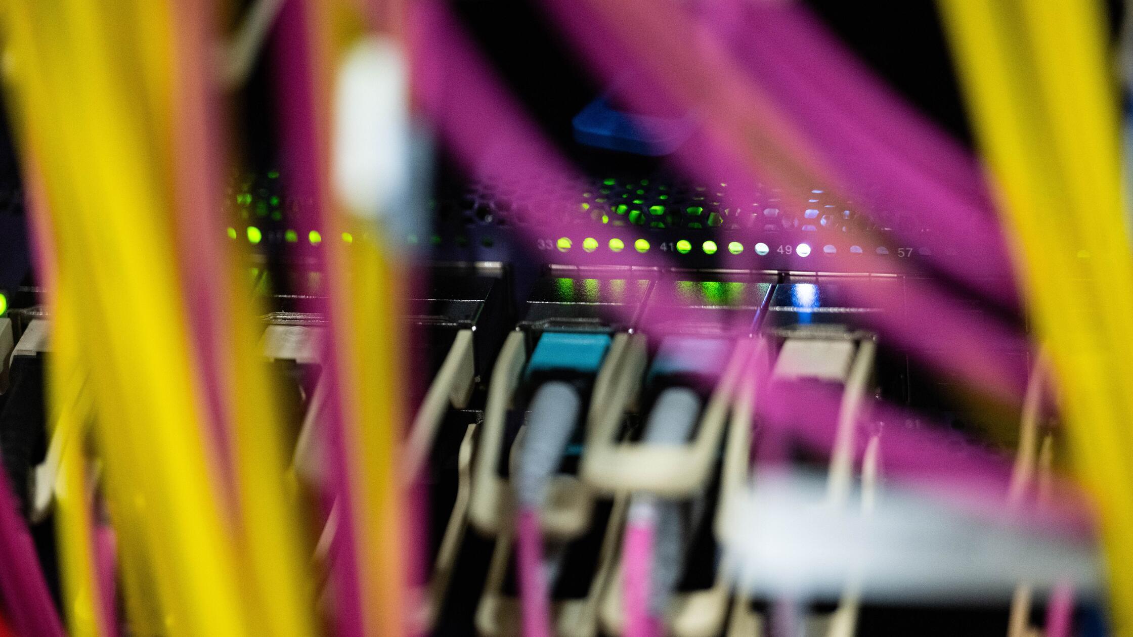 Netzwerkkabel sind in einem Rechenzentrum zu sehen